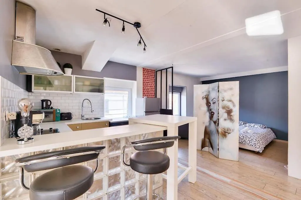 Charming Apartment In The 9Th District Lyon