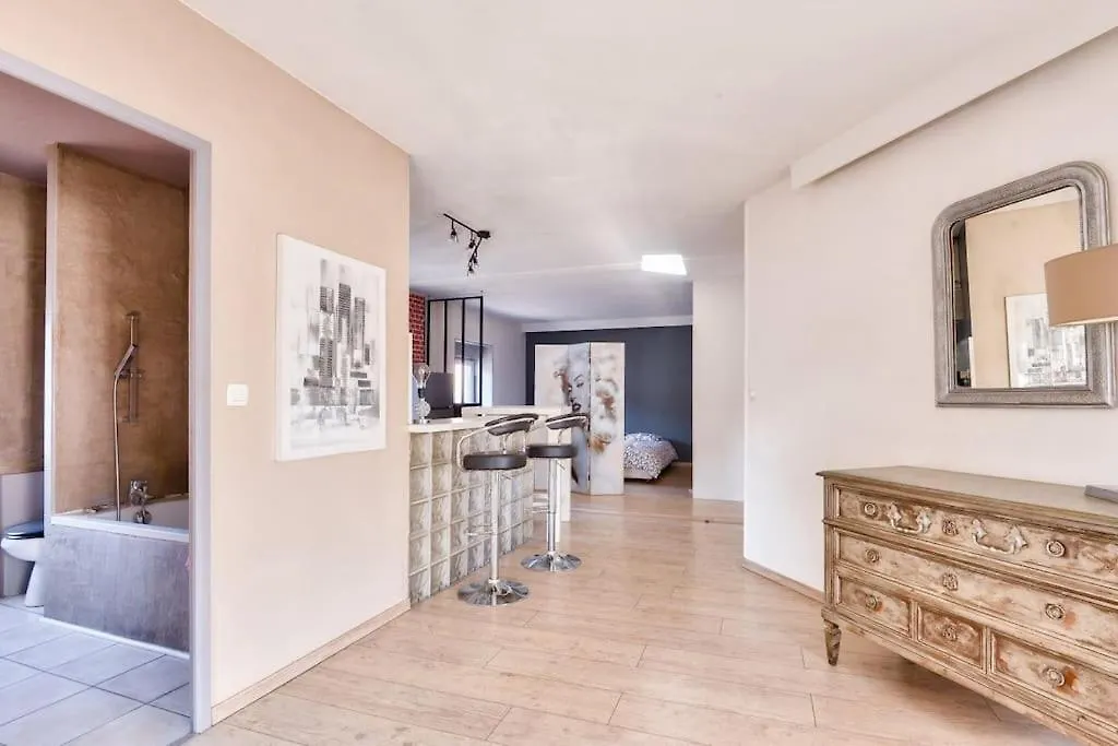Charming Apartment In The 9Th District Lyon 0*,  France