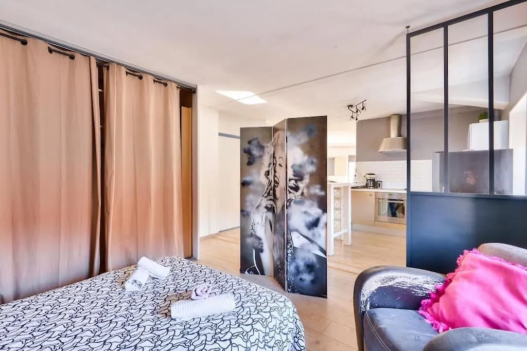 Charming Apartment In The 9Th District Lyon